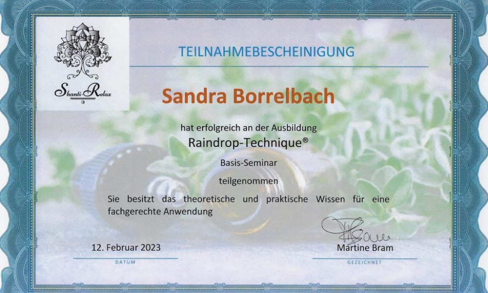 Kinesiologie, Systemaufstellung & Quantenheilung