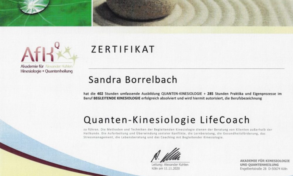 Kinesiologie, Systemaufstellung & Quantenheilung